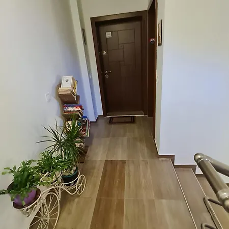 Apartment Cozy With Balcony